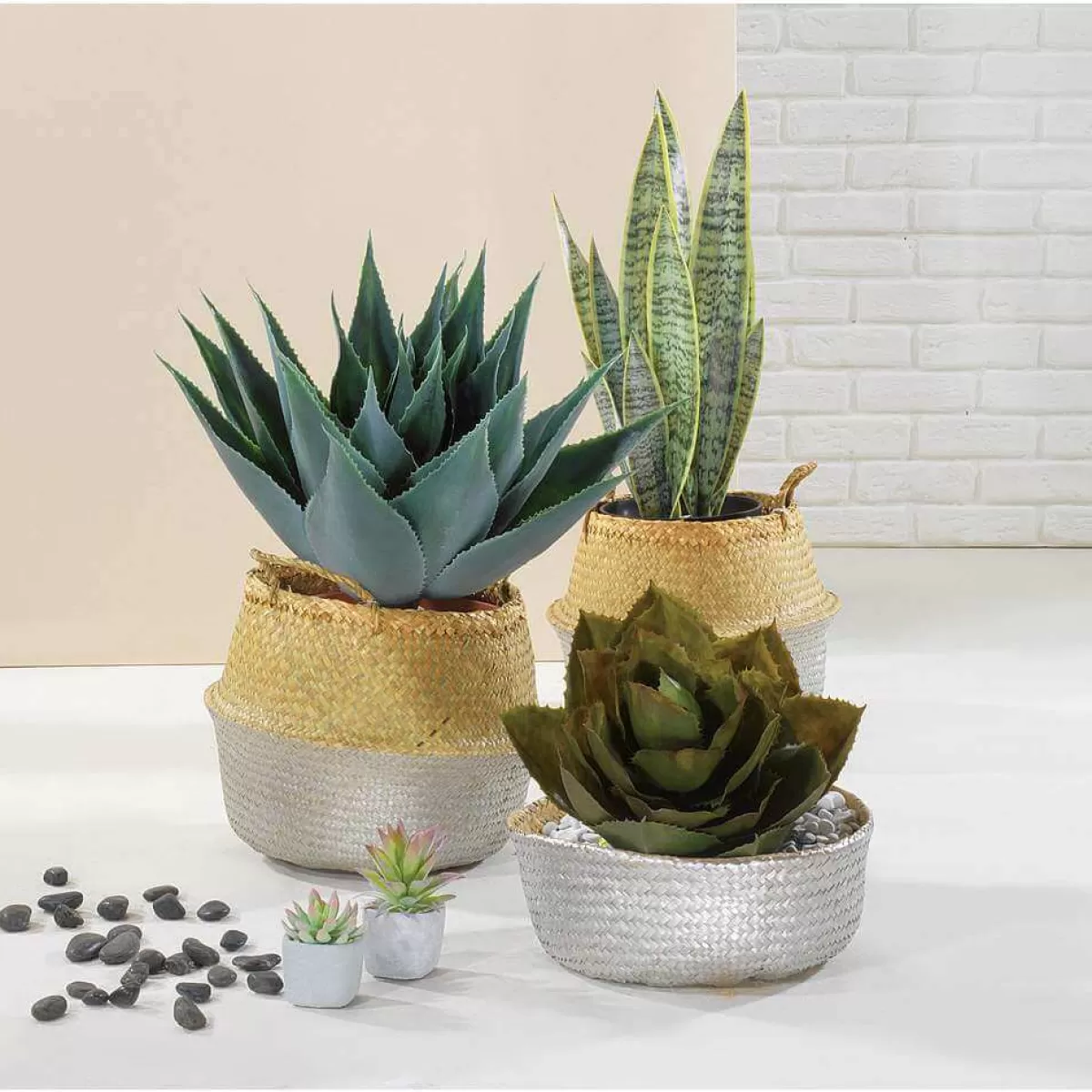 agave_de_parry_artificielle_sans_pot__38_cm_3.webp DecoWoerner Agave De Parry Artificielle Sans Pot, Ø 38 Cm