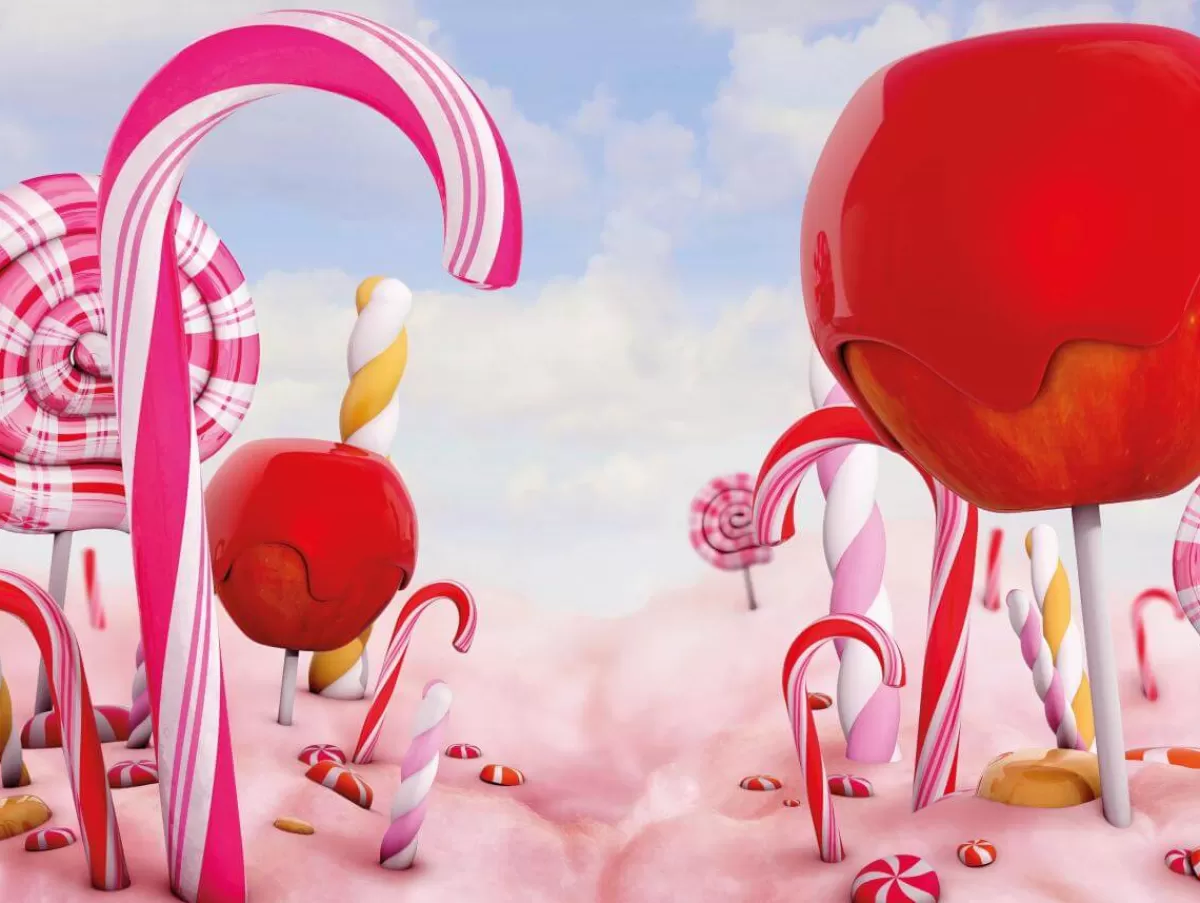 DecoWoerner Bannière De Bâche De Camion Bonbons 2,5 X 3,3 M