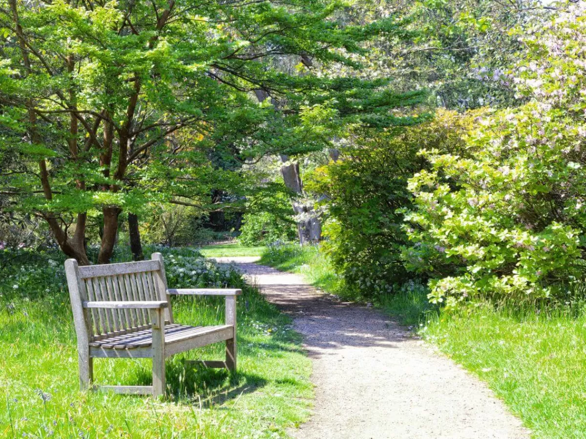 DecoWoerner Bannière En Bâche XXL "Chemin De Parc Avec Banc En Bois" En Bâche De Camion Difficilement Inflammable 250 X 330 Cm