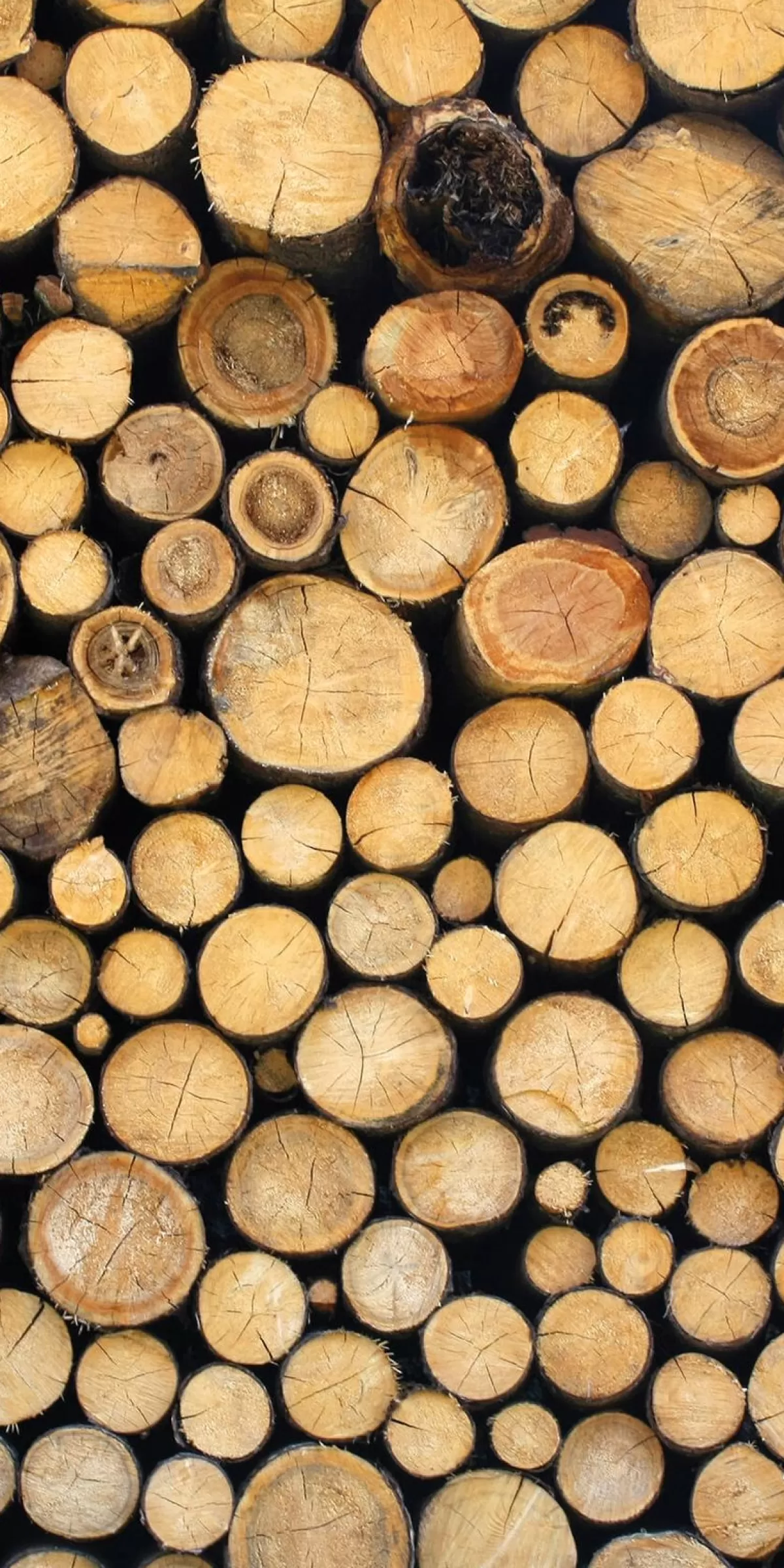 DecoWoerner Bannière En Tissu Difficilement Inflammable "pile De Bois" En Tissu Pour Drapeau 100 X 200 Cm