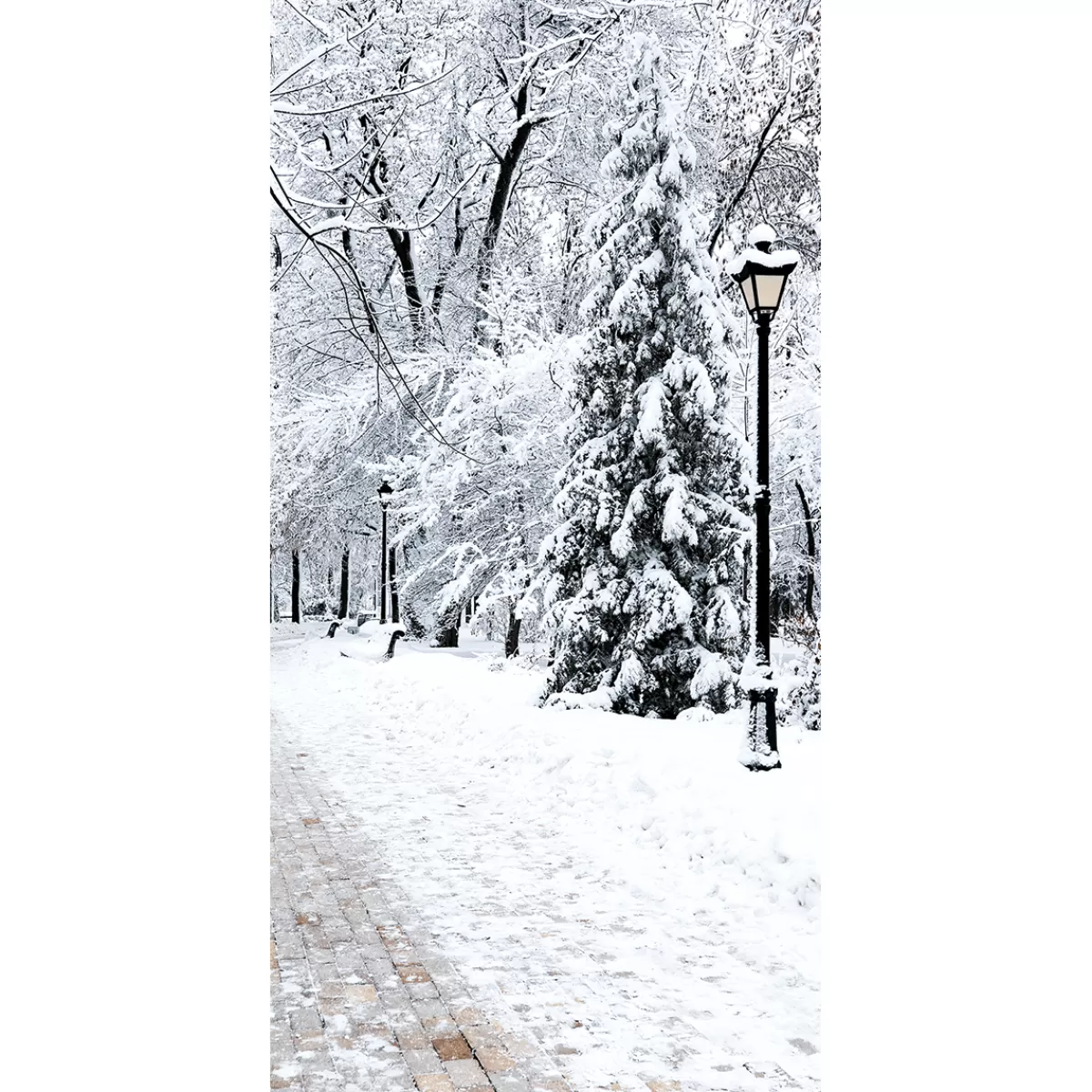 DecoWoerner Bannière En Tissu Difficilement Inflammable "Winterpark" En Tissu Pour Drapeau 100 X 200 Cm