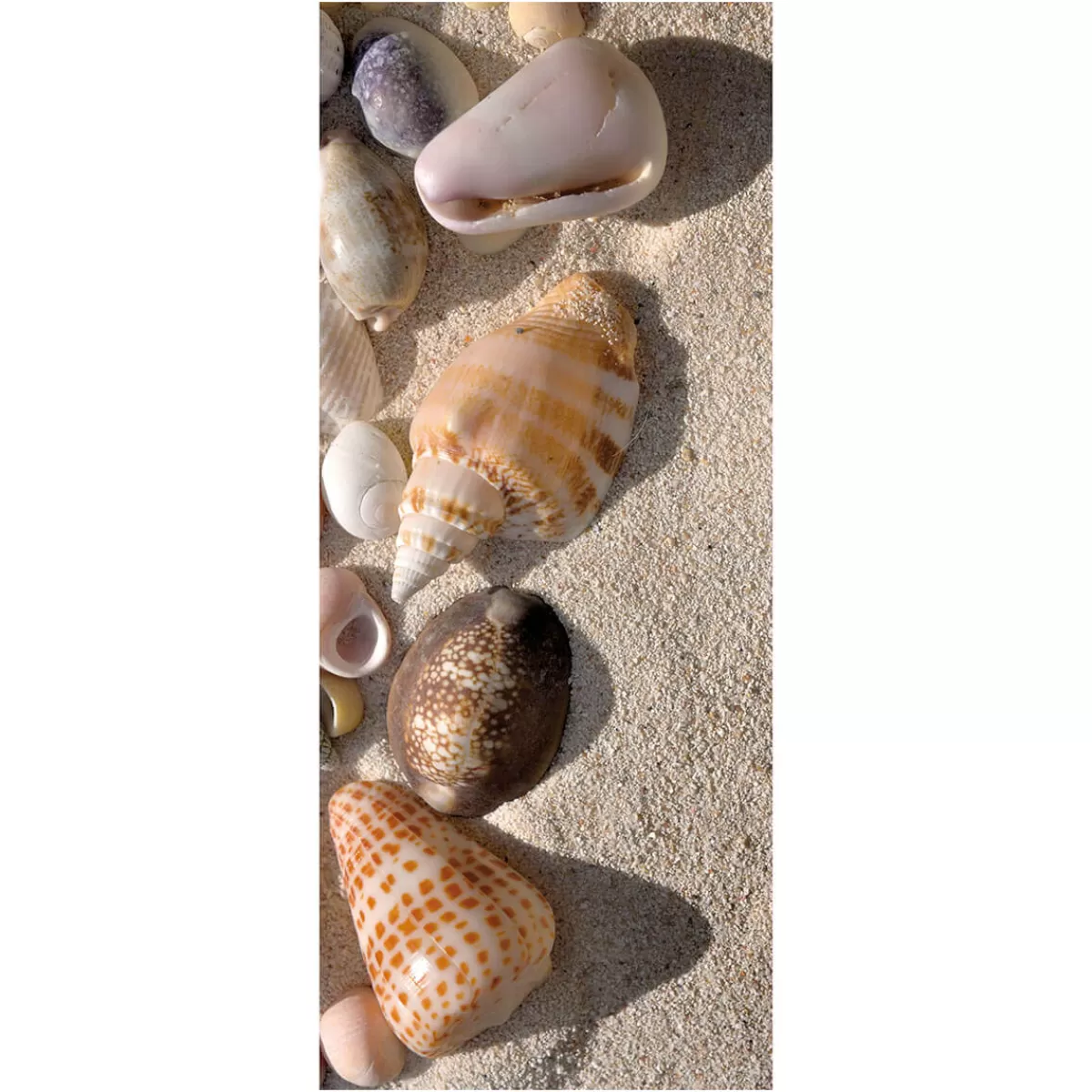 DecoWoerner Bannière En Tissu Ignifugé "Coquillages Dans Le Sable" En Tissu Pour Drapeau 75 X 180 Cm