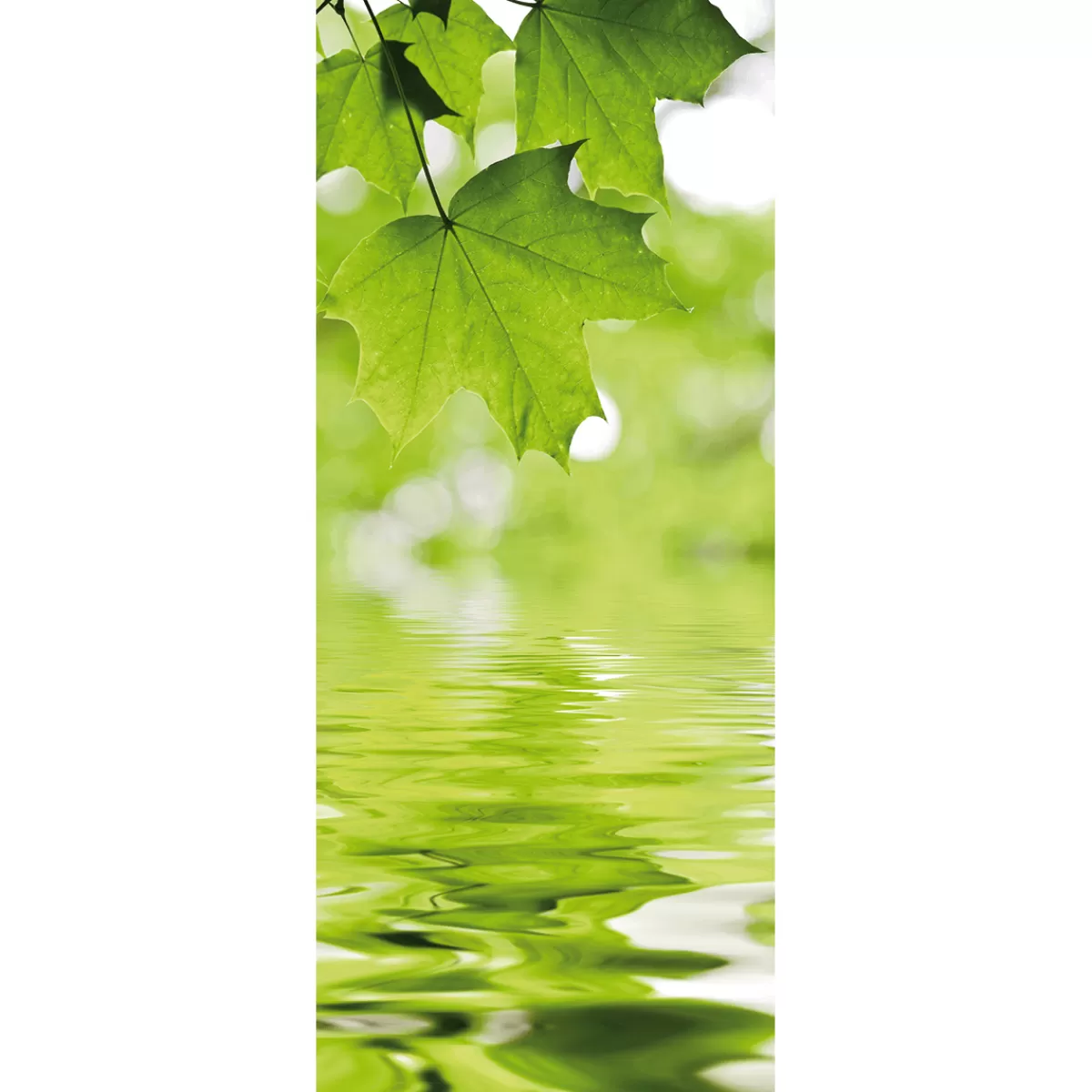 DecoWoerner Bannière En Tissu Ignifugé "Feuilles D'érable Et Eau" En Tissu Pour Drapeau 75 X 180 Cm