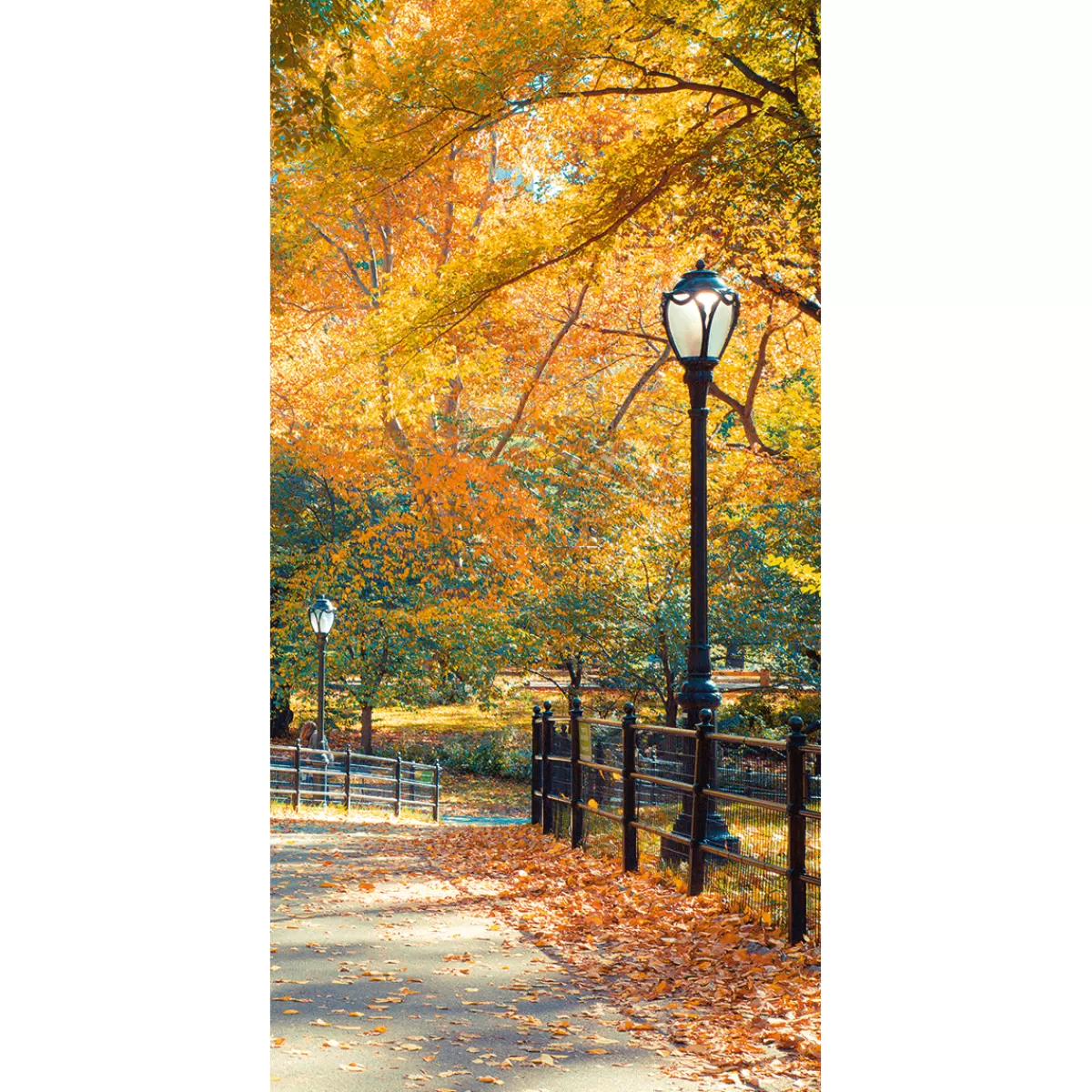 DecoWoerner Bannière En Tissu Ignifugé "Parc D'automne" En Tissu Pour Drapeau 100 X 200 Cm