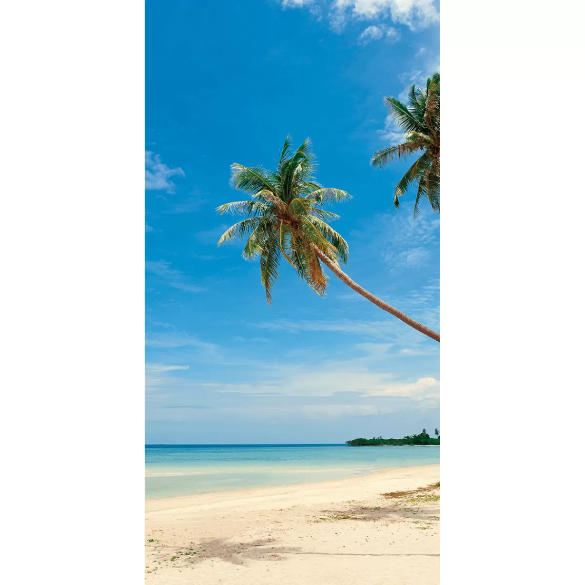 DecoWoerner Bannière En Tissu Ignifugé "Plage De Palmiers" En Tissu Pour Drapeau 100 X 200 Cm