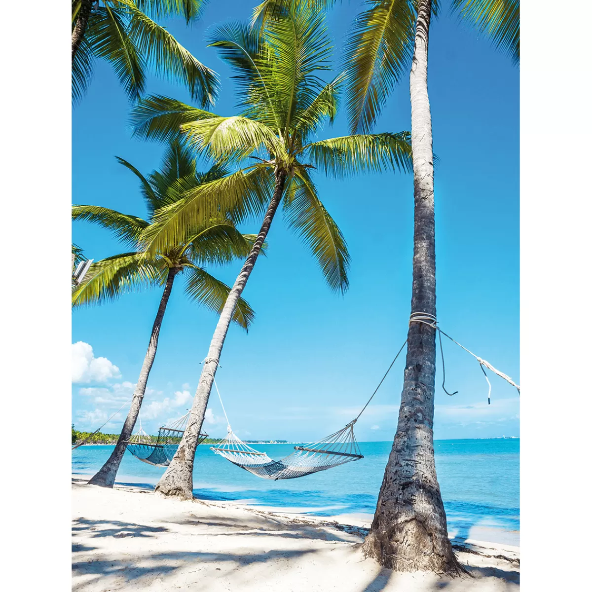 DecoWoerner Bannière En Tissu XL "Hamac Sous Les Palmiers Sur Une Plage De Rêve" En Tissu Pour Drapeau Ignifugé 150 X 200 Cm