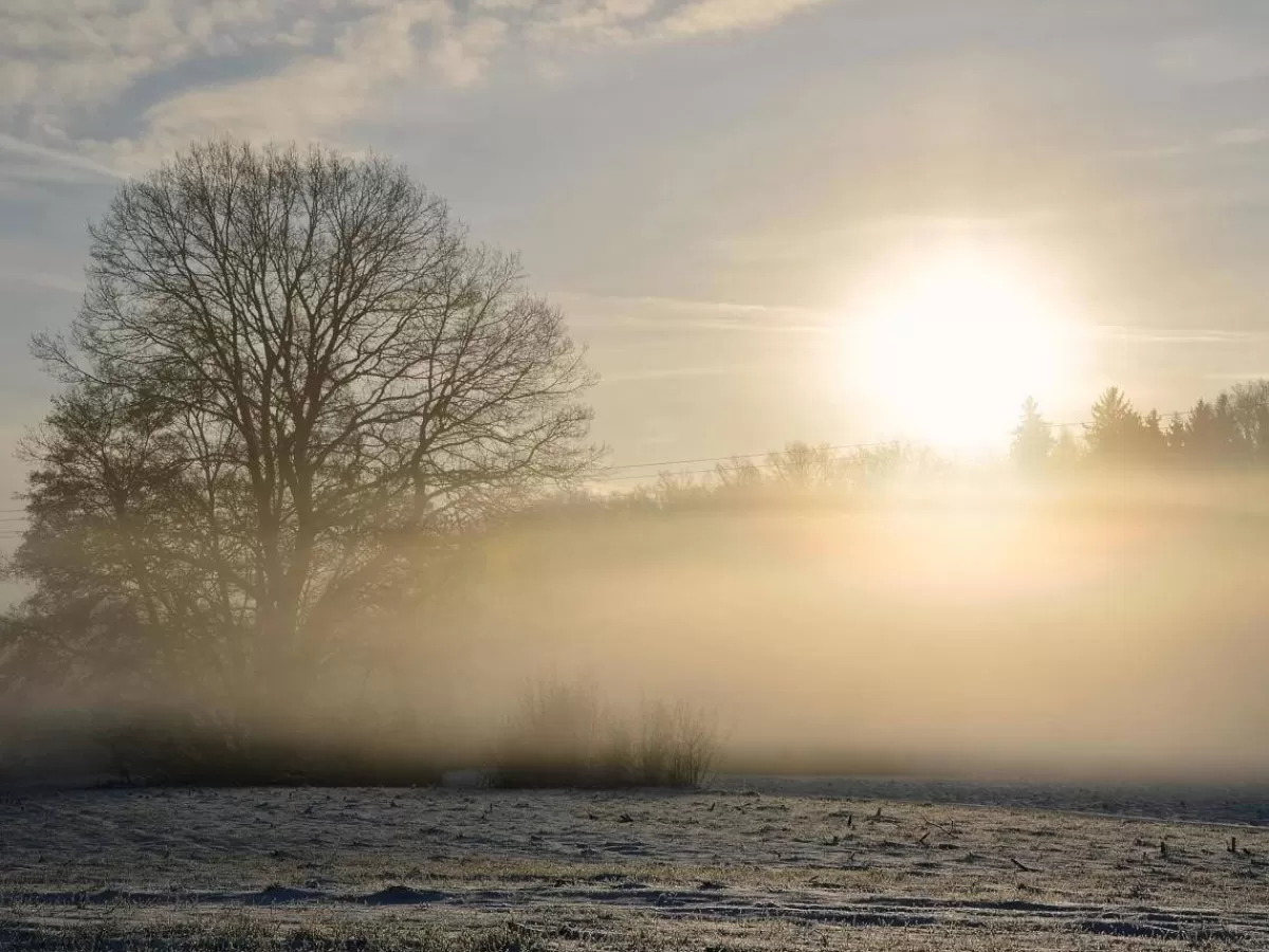 DecoWoerner Bannière XXL "Brouillard D'hiver" En Bâche De Camion Difficilement Inflammable 250 X 330 Cm