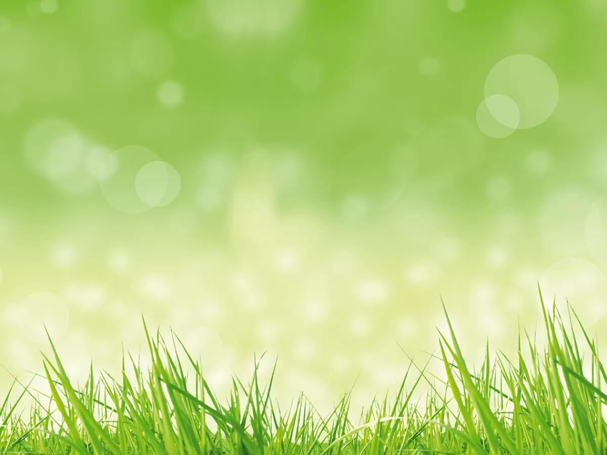 DecoWoerner Bannière XXL "herbe De Printemps" En Bâche De Camion Ignifuge 300 X 400 Cm