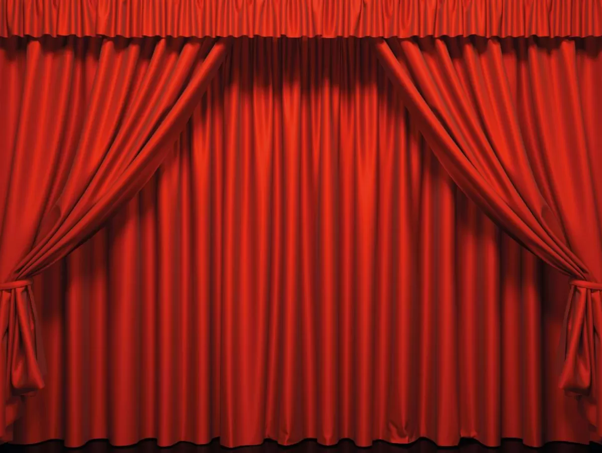 DecoWoerner Bâche XXL "Rideau De Scène " En Bâche De Camion Difficilement Inflammable 250 X 330 Cm