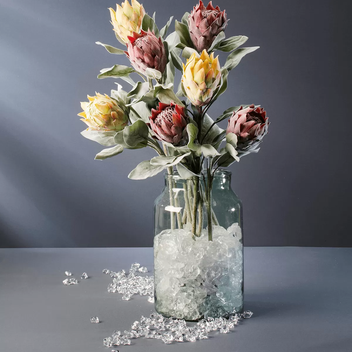 DecoWoerner Bloc De Glace En Plastique De Qualité Alimentaire, 50 Pièces