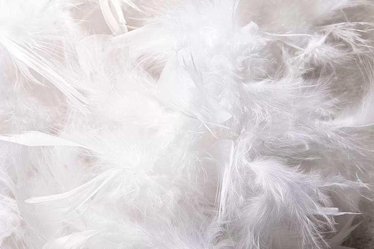 boa_de_plumes_blanc_180_cm_4.webp DecoWoerner Boa De Plumes, , 180 Cm