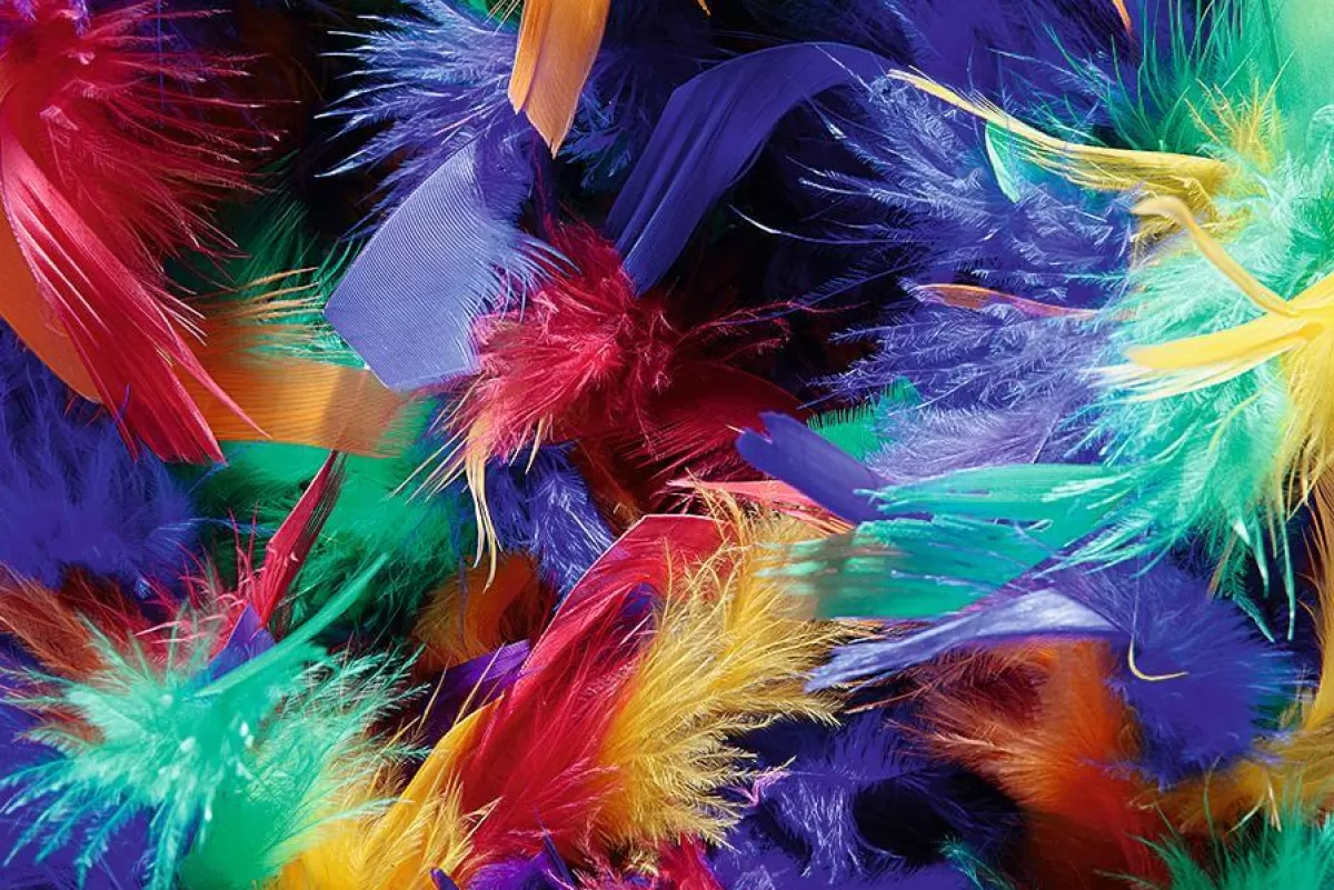 boa_en_plumes_color_180_cm_4.webp DecoWoerner Boa En Plumes, Coloré, 180 Cm