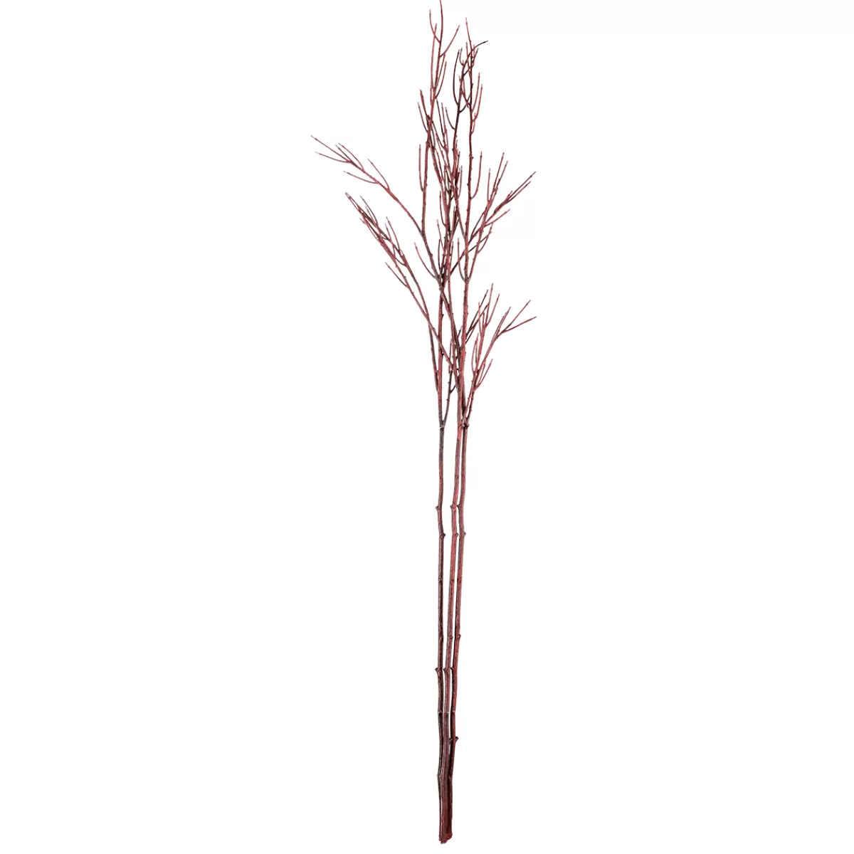 branche_dcoration_branche_cornus_rouge_130_cm_3.webp DecoWoerner Branche Décoration Branche Cornus 130 Cm