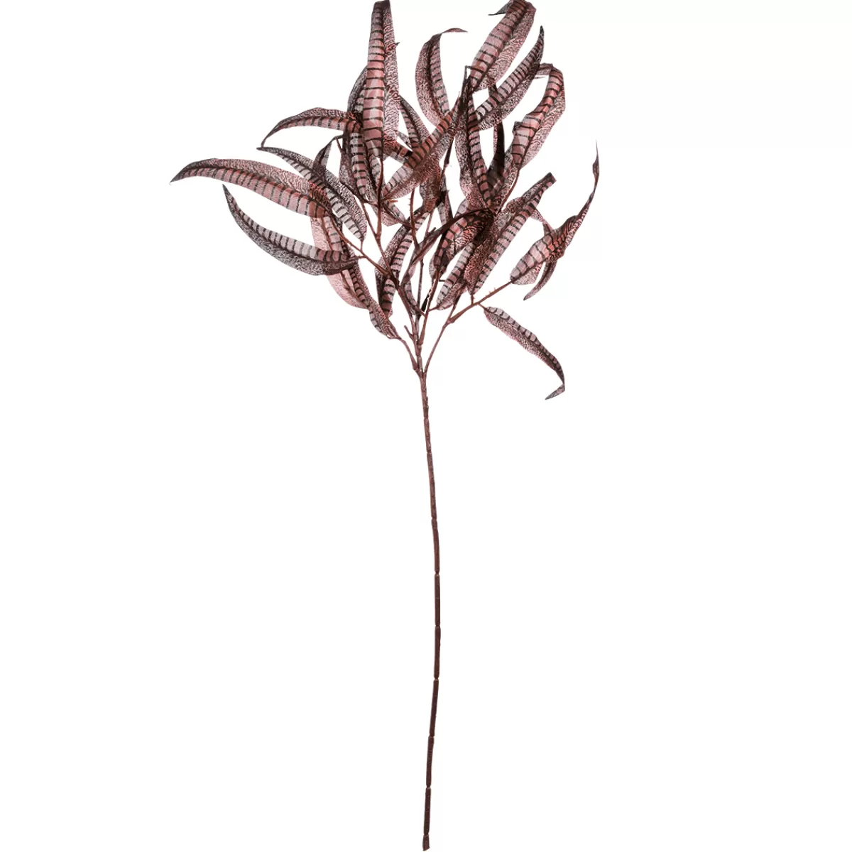 DecoWoerner Branche Décorative D'automne Taupe, 85 Cm De Long