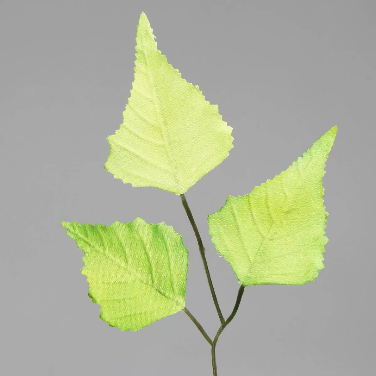 branche_de_bouleau_artificielle_60_cm_3.webp DecoWoerner Branche De Bouleau Artificielle 60 Cm