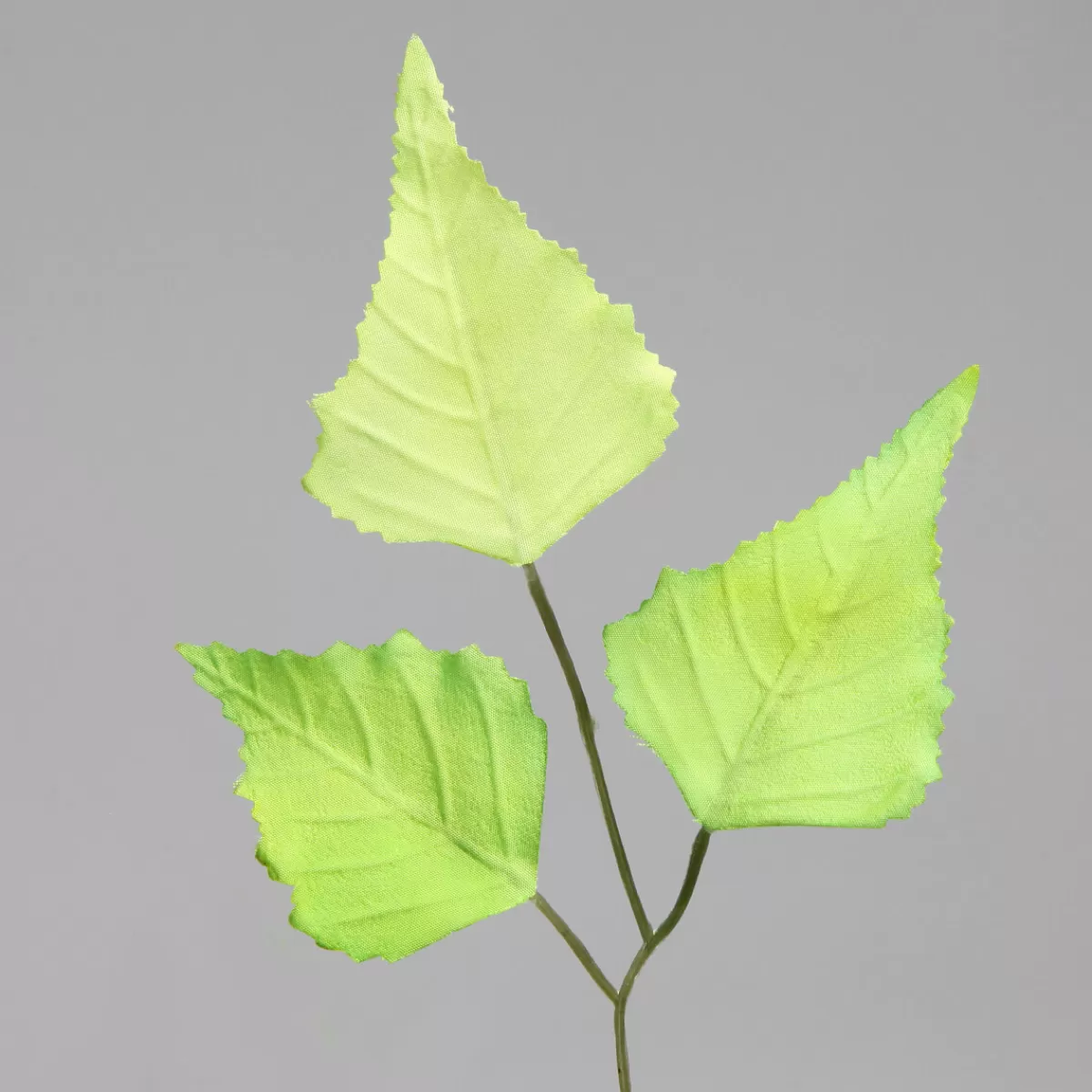 branche_de_bouleau_artificielle_60_cm_4.webp DecoWoerner Branche De Bouleau Artificielle 60 Cm