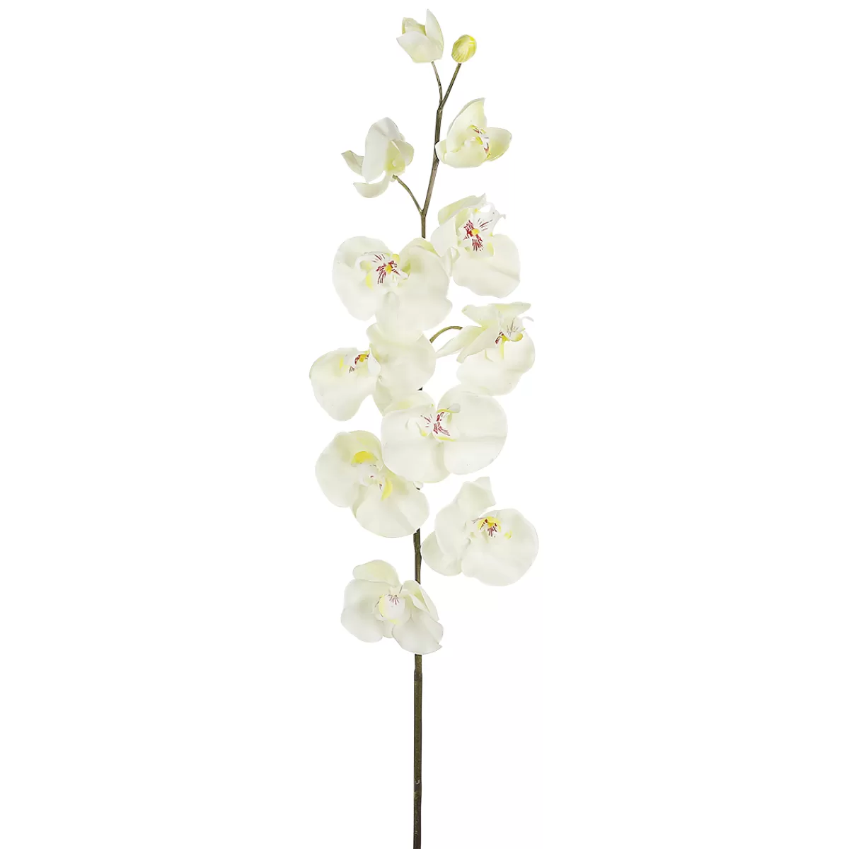 DecoWoerner Branche D'orchidée Décorative he 110 Cm