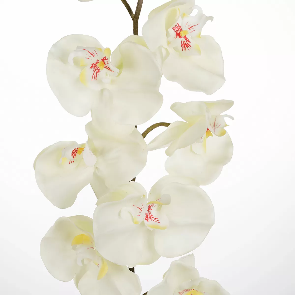 DecoWoerner Branche D'orchidée Décorative he 110 Cm