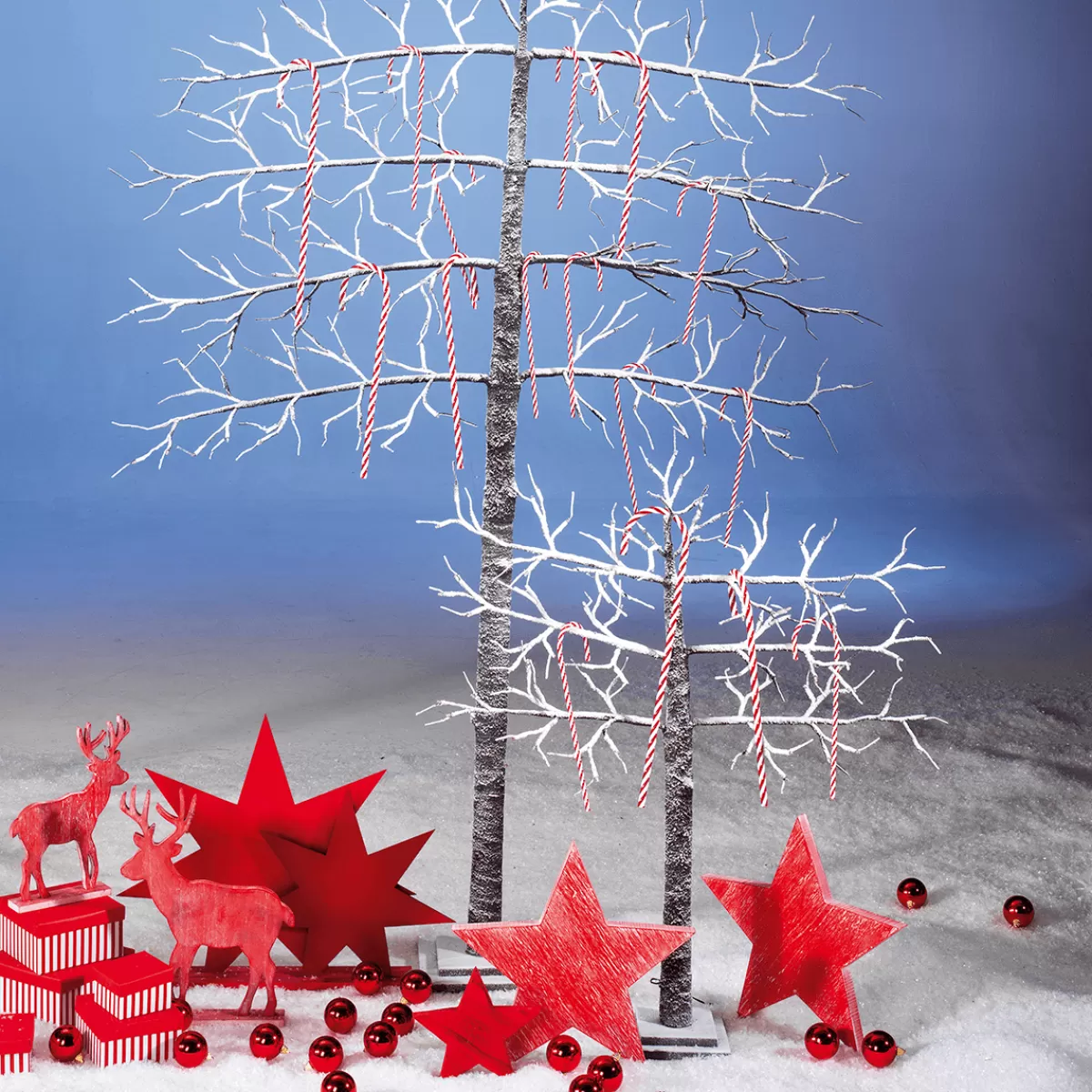 DecoWoerner Cannes En Sucre XXL Aliment Factice 5 Pces 50 Cm