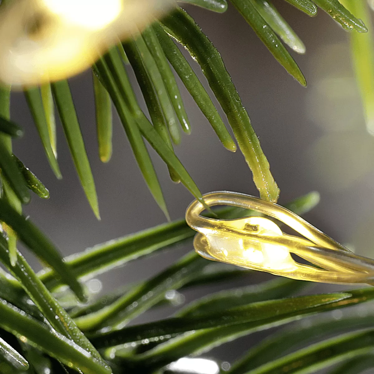 chane_lumineuse__fil__led_feu_dartifice_pour_lext_100_led_6_m_3-1.webp DecoWoerner Chaîne Lumineuse à Fil à LED Feu D’artifice Pour L’ext., 100 LED, 6 M