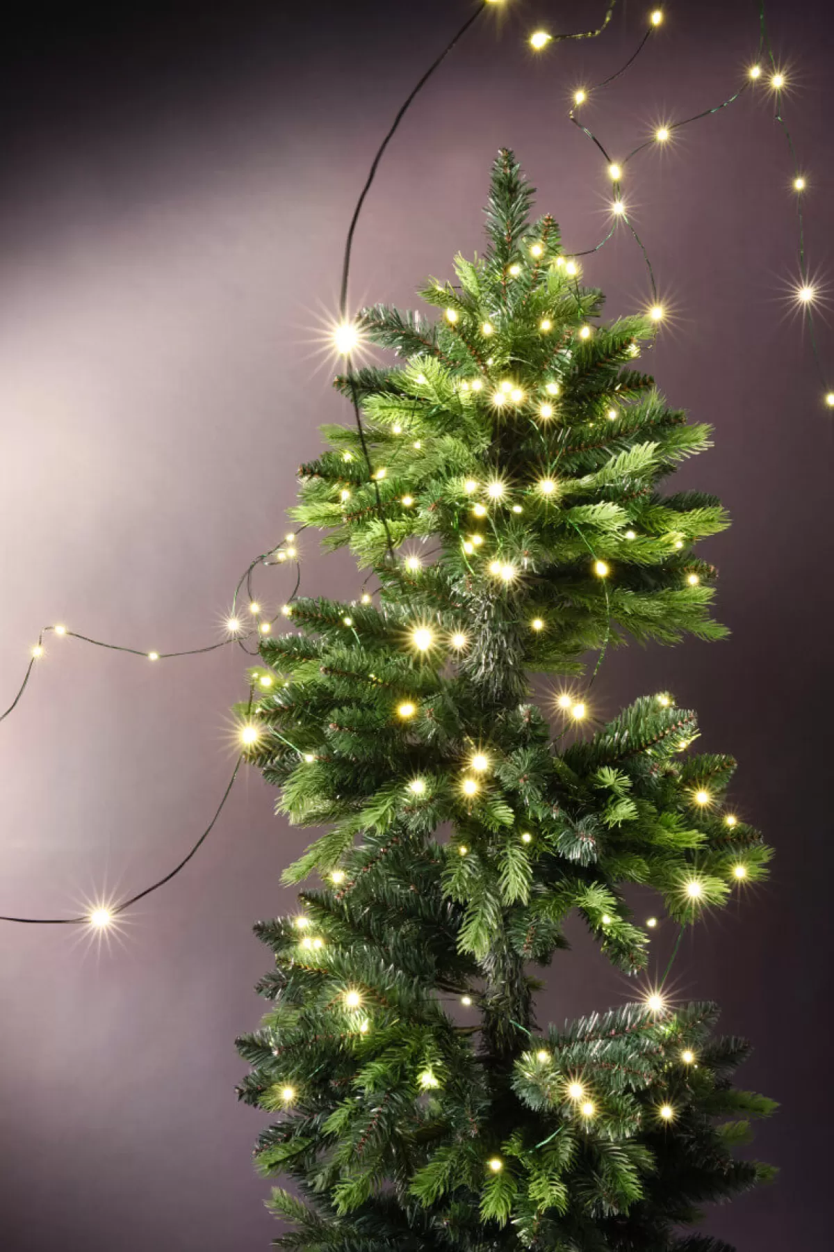 DecoWoerner Chaîne Lumineuse à Fil à LED Pour L’int., 100 LED, 10 M