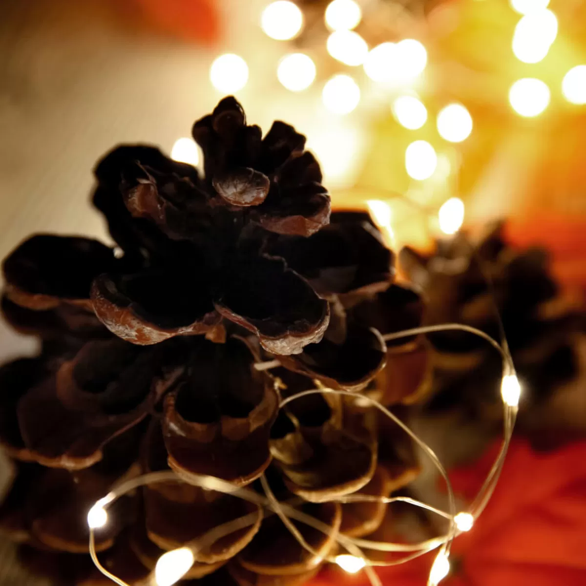 DecoWoerner Chaîne Lumineuse à Fil à LED Sur Pile Pour L'ext., 100 LED, 10 M