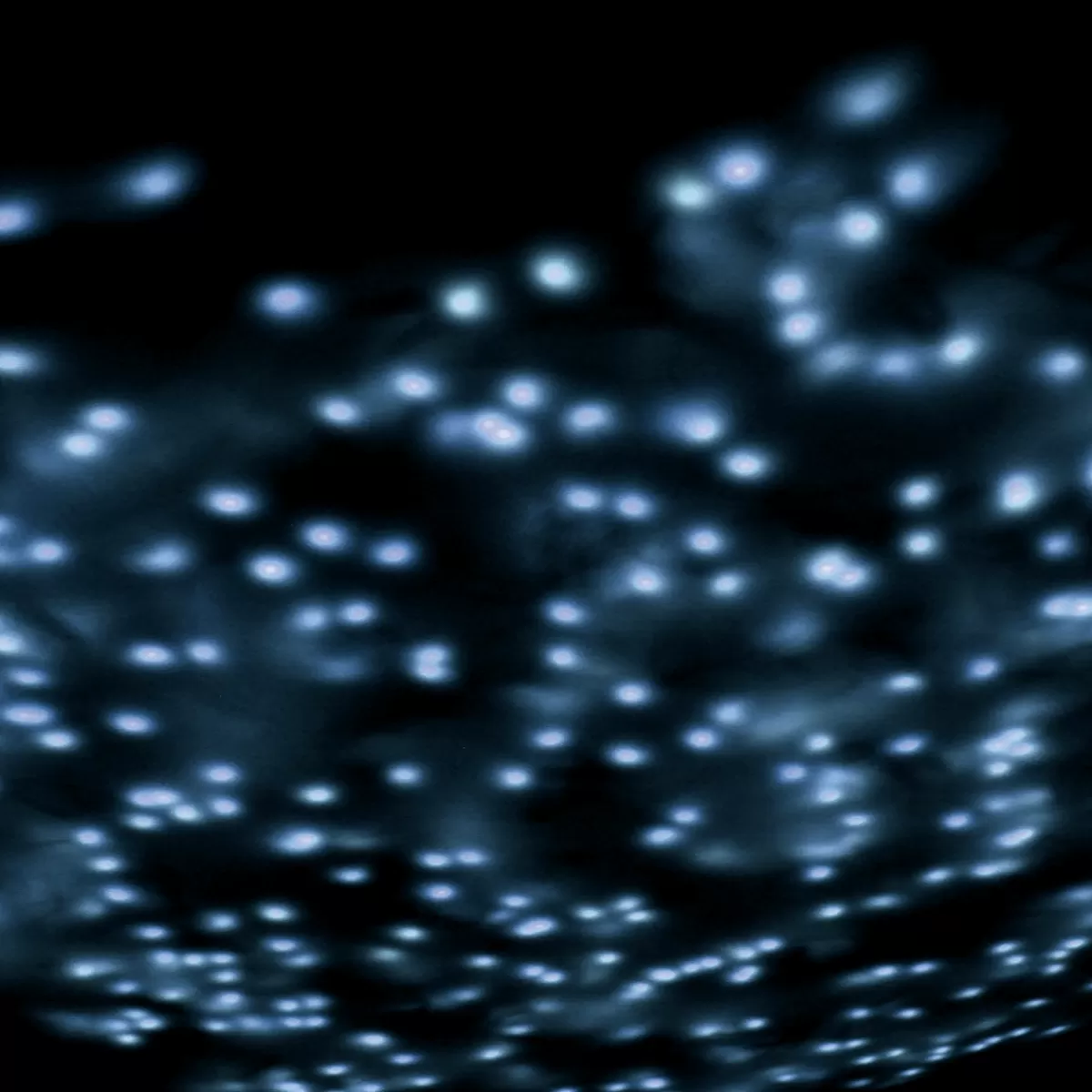 chane_lumineuse_led_avec_minuterie_pour_lextrieur_6_m_2-1.webp DecoWoerner Chaîne Lumineuse LED Avec Minuterie, Pour L'extérieur, 6 M