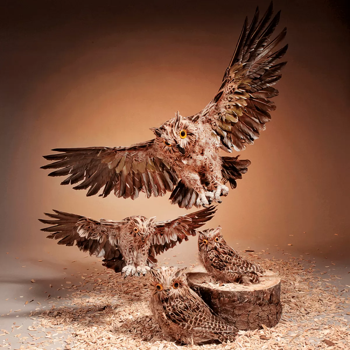 chouette_assise_dco_brune_haut_31_cm_3.webp DecoWoerner Chouette Assise Déco, Brune Haut. 31 Cm