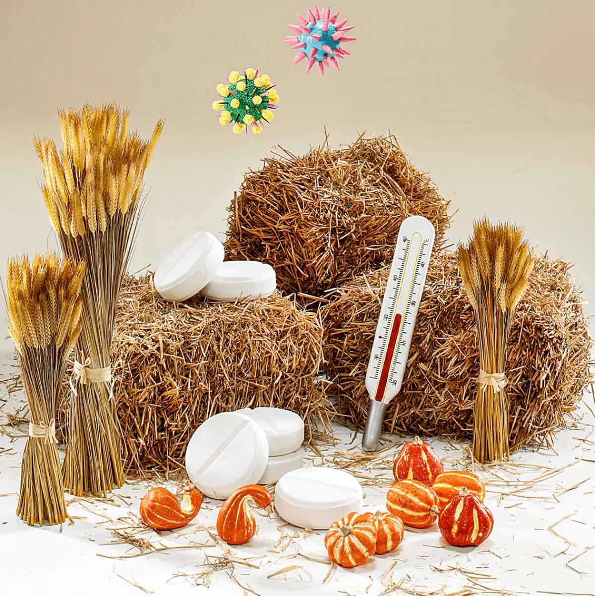 citrouilles_dcoratives_1114_cm_4_pces_4-1.webp DecoWoerner Citrouilles Décoratives, 11-14 Cm, 4 Pces