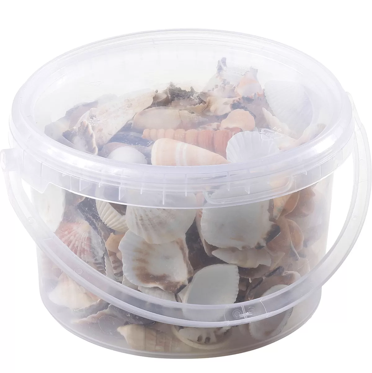 coquillages_et_escargots_dco_1400_g_3.webp DecoWoerner Coquillages Et Escargots Déco, 1400 G