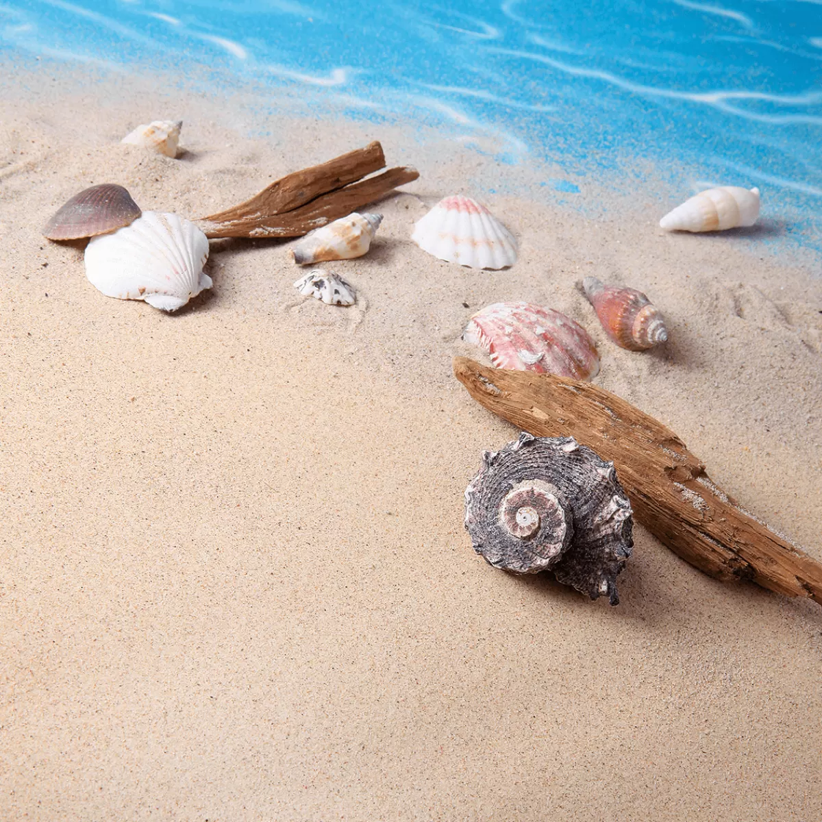 coquillages_et_escargots_dco_1400_g_6.webp DecoWoerner Coquillages Et Escargots Déco, 1400 G