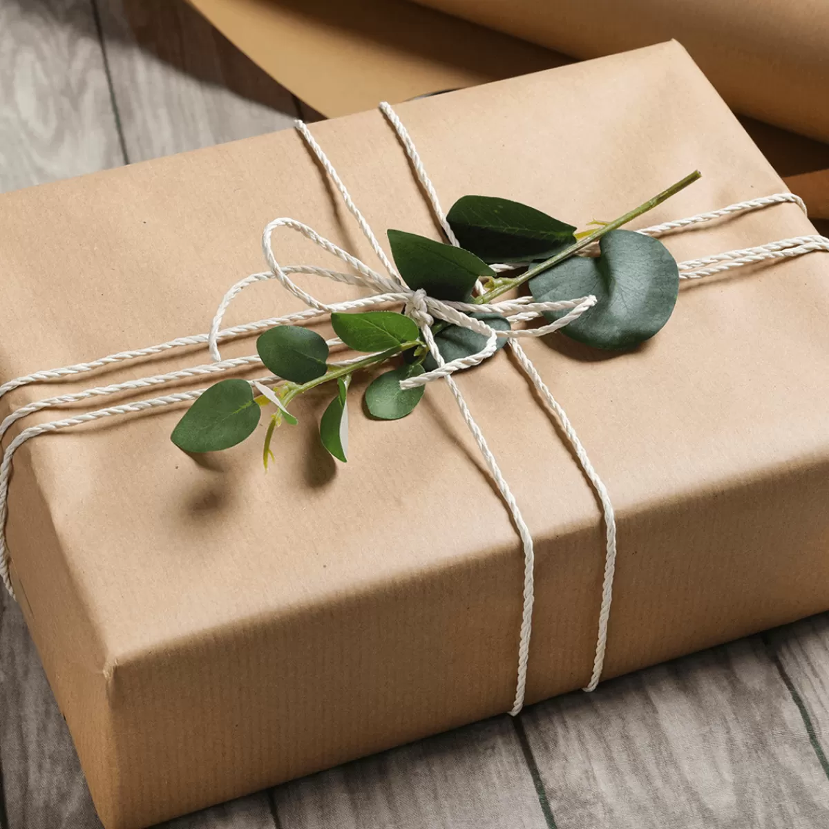 DecoWoerner Cordon De Coton Respectueux De L'environnement En Matériau Dégradable 3 Mm 30 M Crème