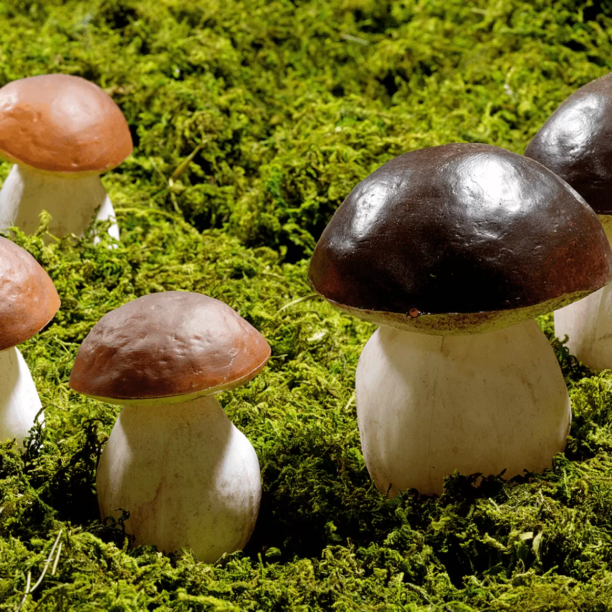 cpes_aliment_factice_14_cm_2_pces_5.webp DecoWoerner Cèpes Aliment Factice 14 Cm, 2 Pces