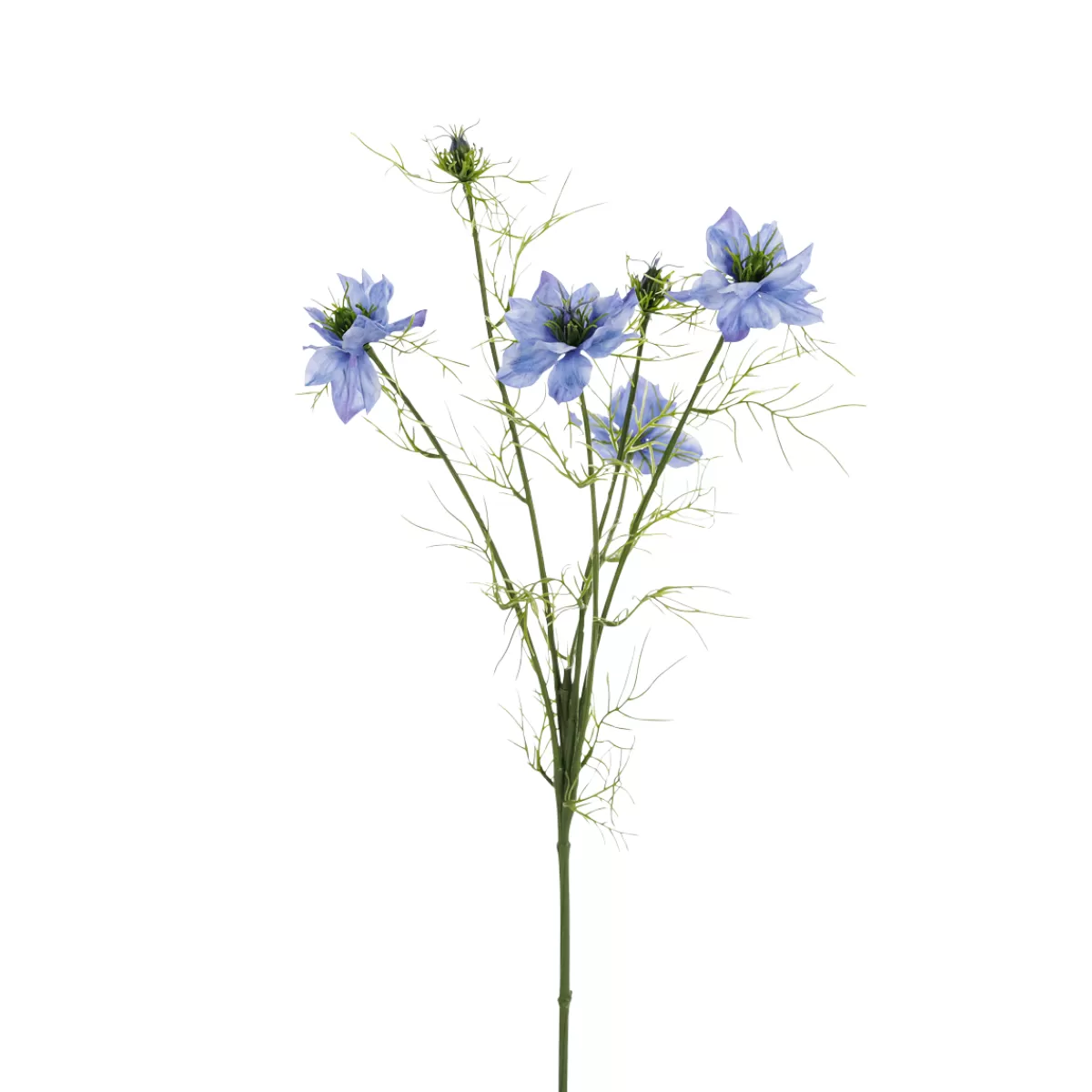 DecoWoerner Déco Artificielle Nigella Nigelle Fleur 12 X 66 Cm