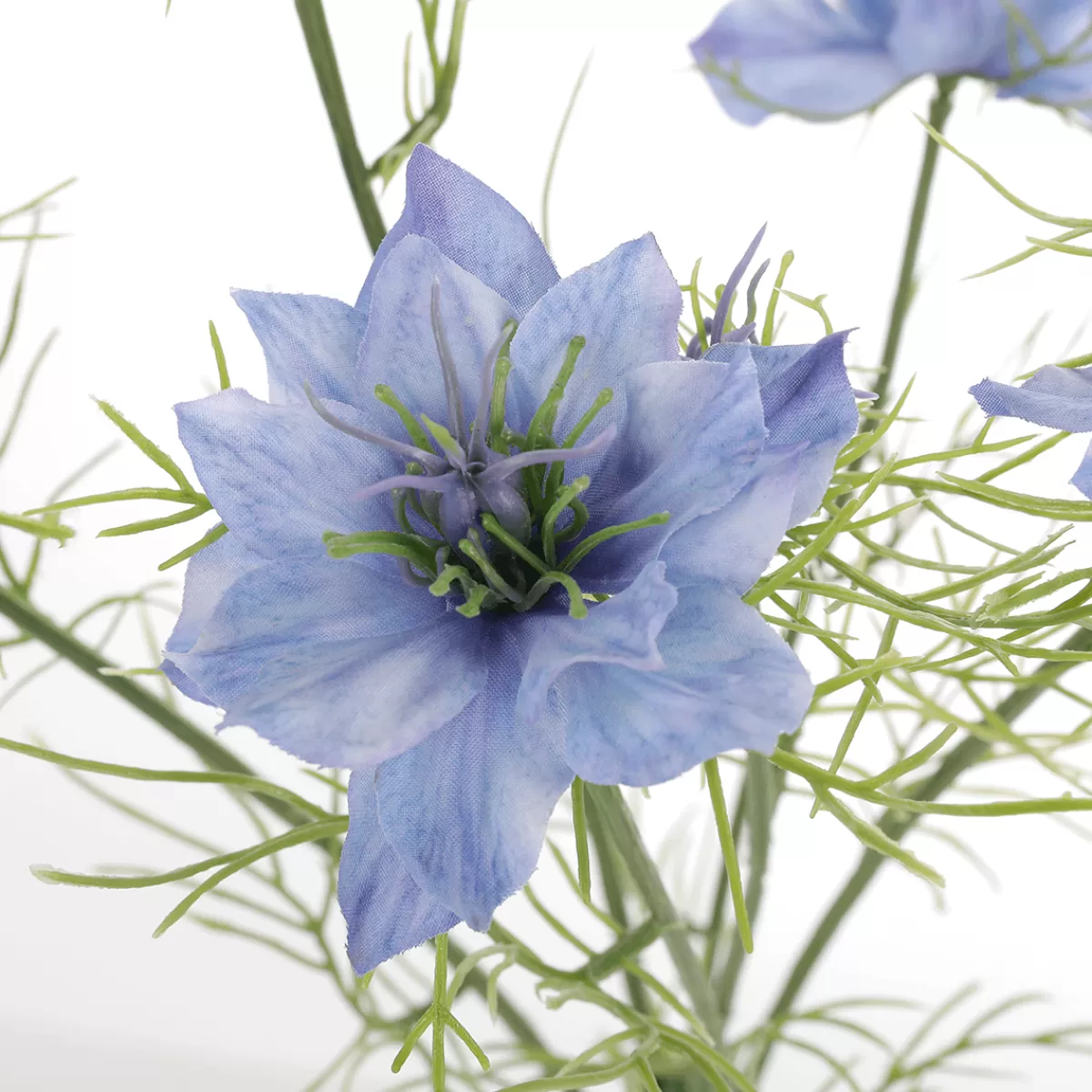 DecoWoerner Déco Artificielle Nigella Nigelle Fleur 12 X 66 Cm
