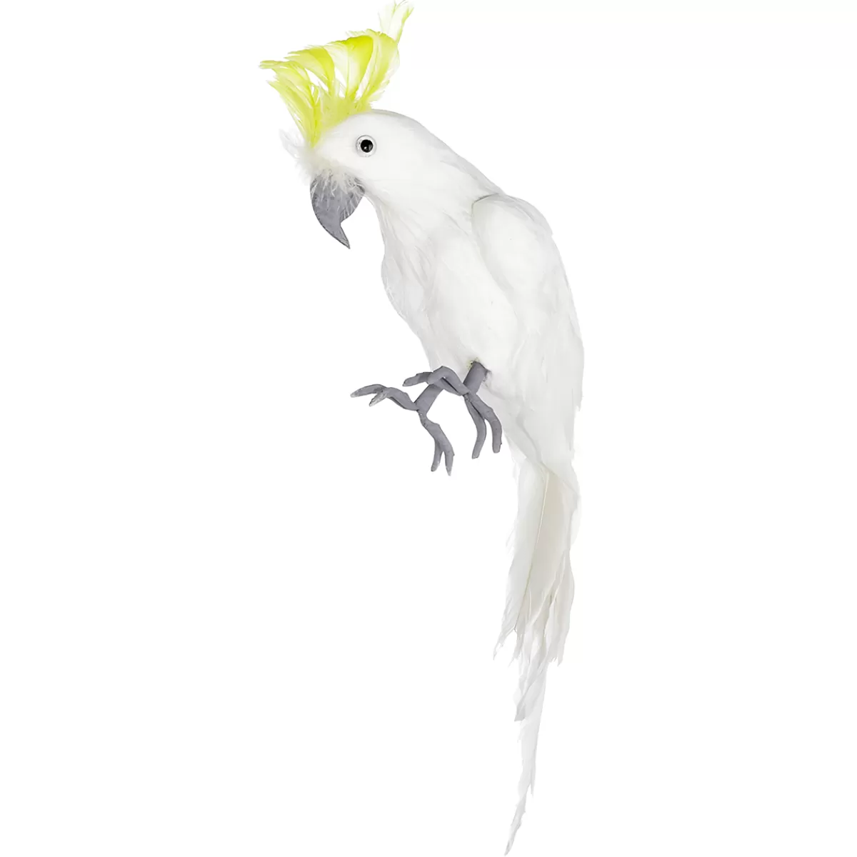 dco_perroquet_cacatos__capuchon_jaune_11_x_45_cm_3.webp DecoWoerner Déco Perroquet Cacatoès à Capuchon Jaune 11 X 45 Cm