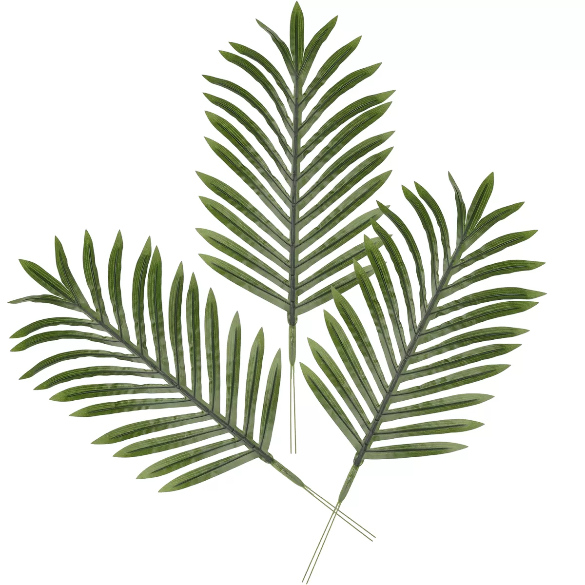 DecoWoerner Feuille De Palmier Areca Déco, Long. 58 Cm, 3 Pces