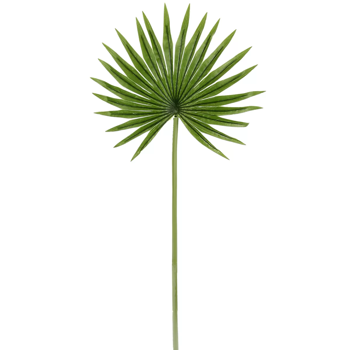 DecoWoerner Feuille De Palmier Nain Déco, Long. 66 Cm, 2 Pces