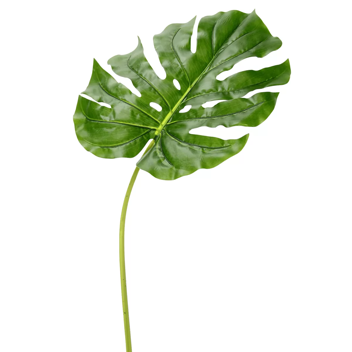 DecoWoerner Feuille De Philo Artificielle 43 X 95 X 103 Cm