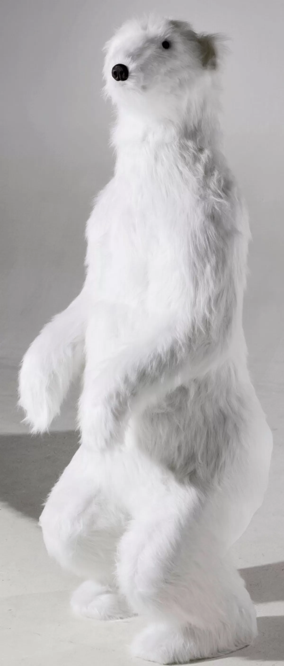 figure_animale_grandeur_nature_dun_ours_polaire_haut_190_cm_6.webp DecoWoerner Figure Animale Grandeur Nature D'un Ours Polaire, Haut. 190 Cm