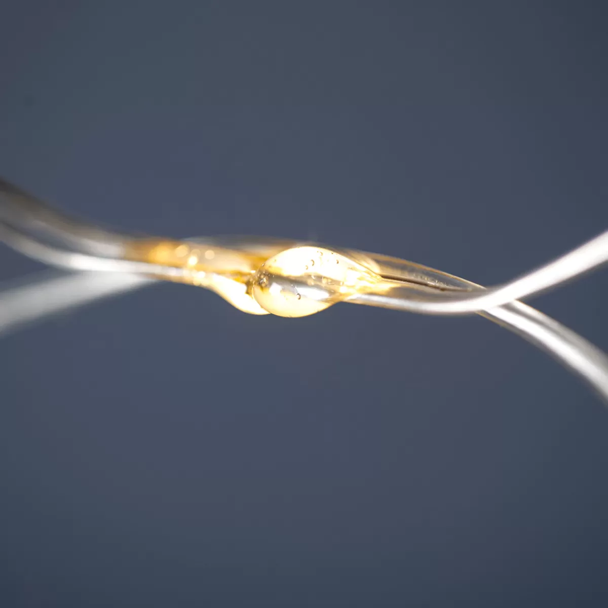 filet_lumineux__led_cble_transparent_led_chaude_350_x_30_cm_5-1.webp DecoWoerner Filet Lumineux à LED, Câble , LED Chaude, 350 X 30 Cm