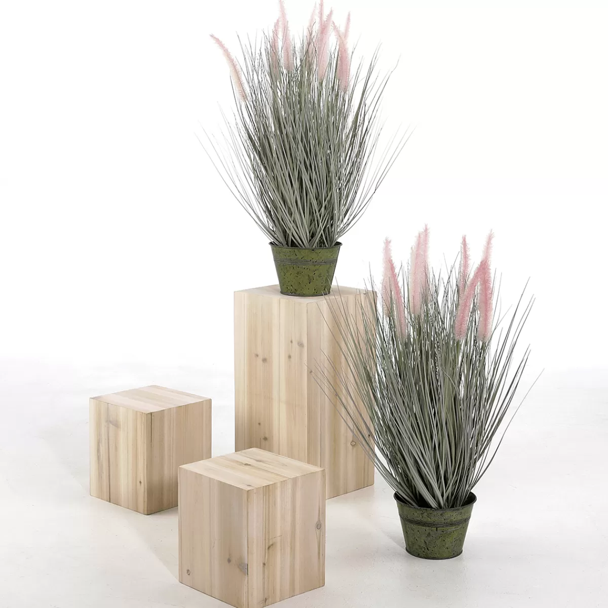 DecoWoerner Fine Herbe à Plumes Décorative -argentée Dans Un élégant Pot En Zinc De 57 Cm