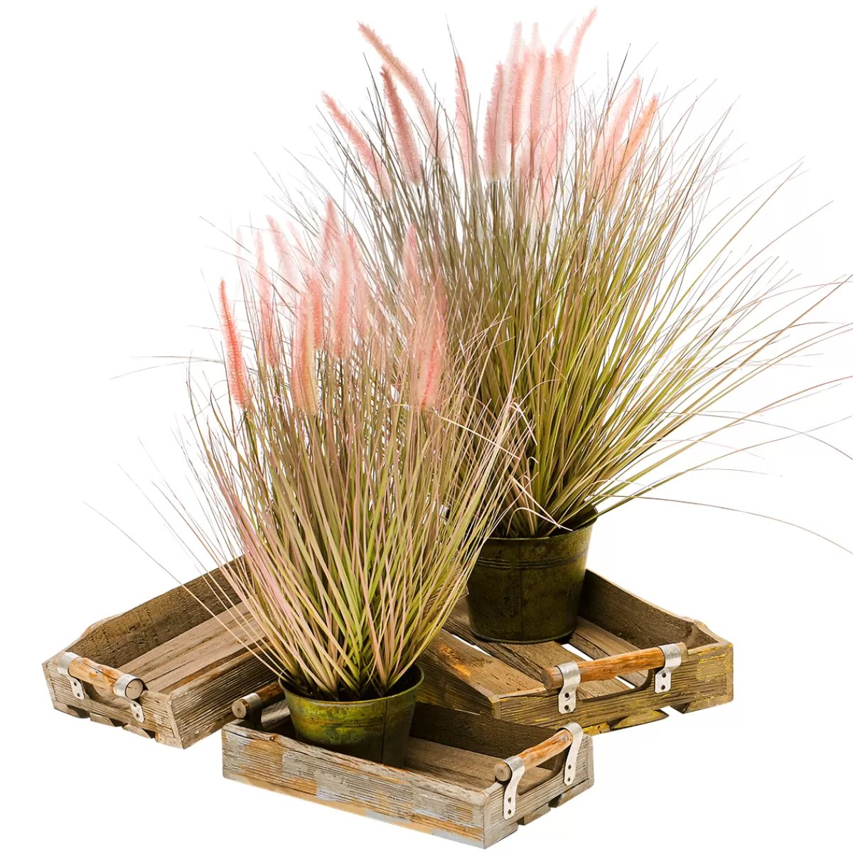 DecoWoerner Fine Herbe à Plumes Décorative -argentée Dans Un élégant Pot En Zinc De 57 Cm