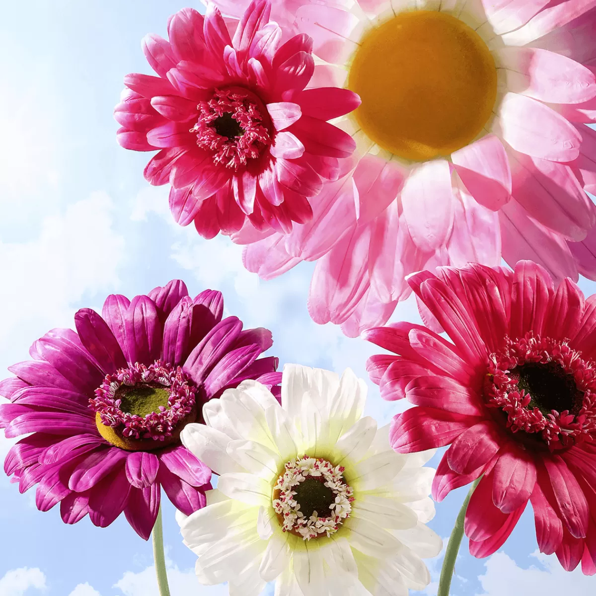 fleur_de_gerbera_gante_artificielle__45_cm_pink_5.webp DecoWoerner Fleur De Gerbera Géante Artificielle, Ø 45 Cm, Pink