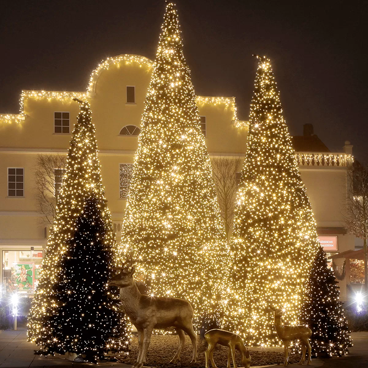 DecoWoerner Guirlande Lumineuse LED à Couplage Pour L'extérieur IP67, 10 M Sans Câble, Blanc Chaud