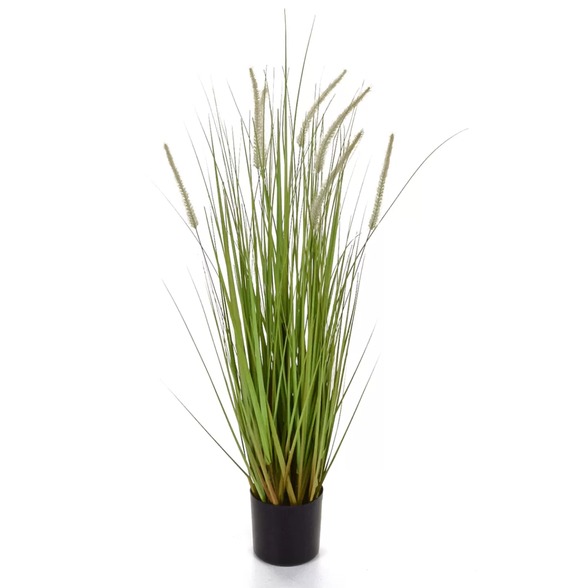 DecoWoerner Herbe à Lampions Décorative En Pot Noir 90 Cm