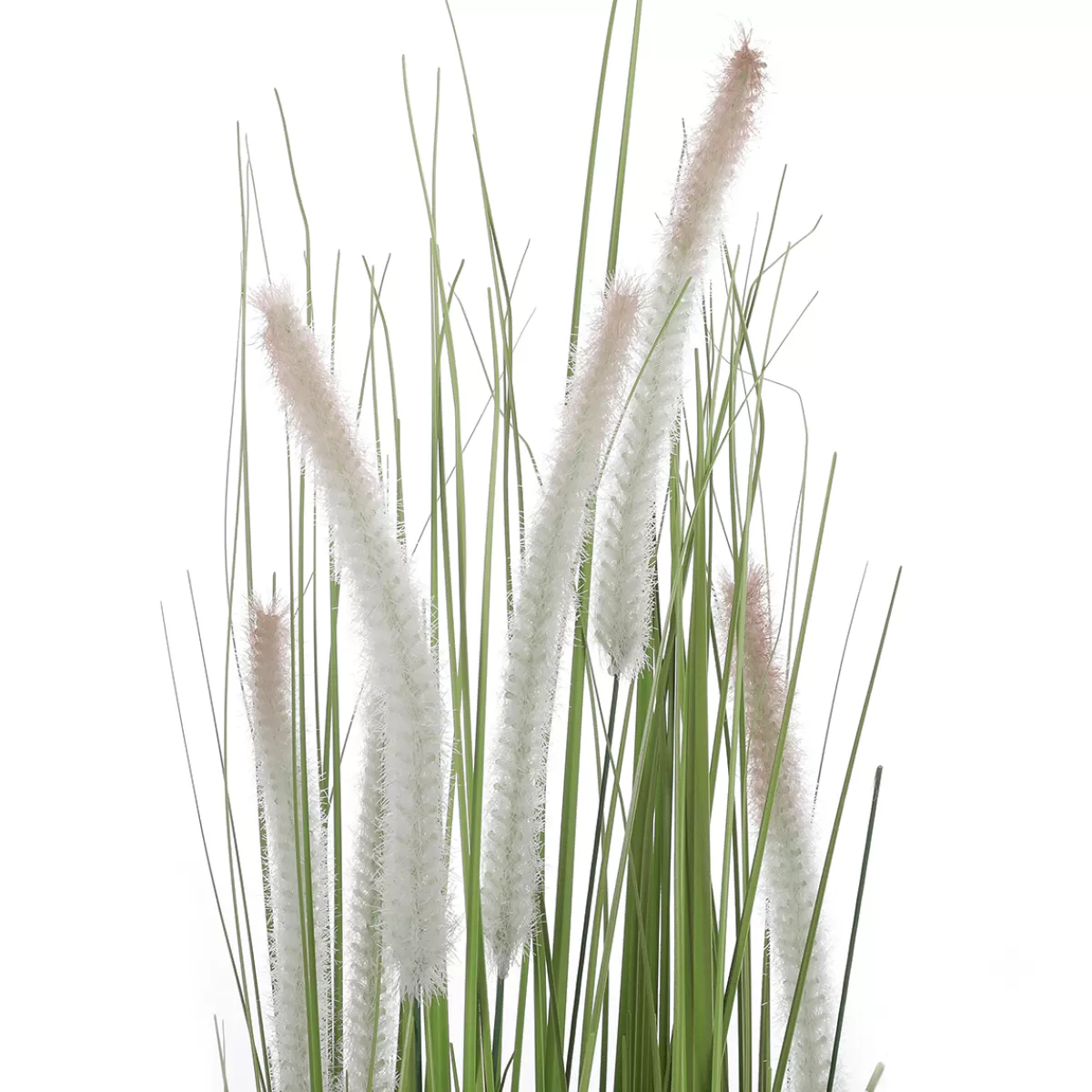 DecoWoerner Herbe à Lampions Décorative En Pot Noir 90 Cm