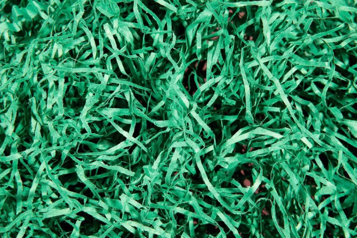 herbe_de_pques_verte_3.webp DecoWoerner Herbe De Pâques, e