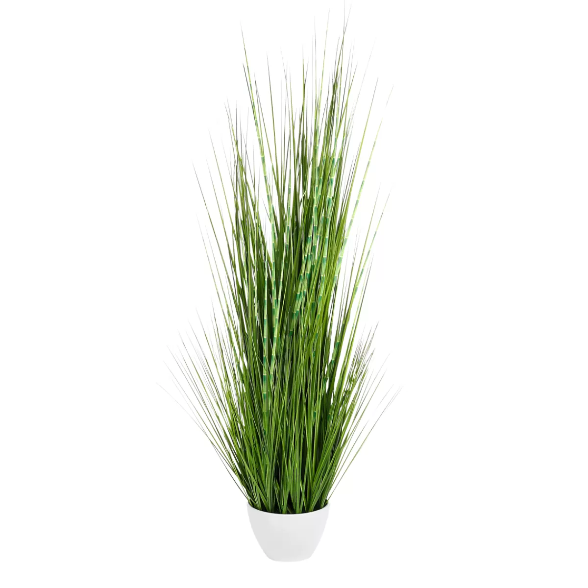 DecoWoerner Herbe Du Tigre Décorative XXL En Pot Blanc 120 Cm