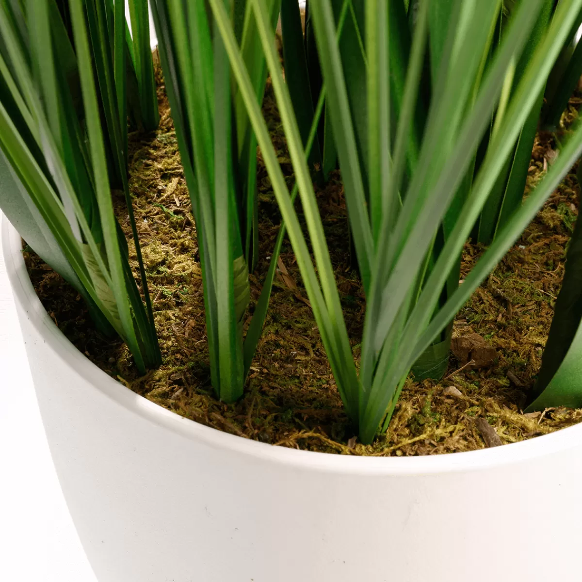 herbe_du_tigre_dcorative_xxl_en_pot_blanc_120_cm_3.webp DecoWoerner Herbe Du Tigre Décorative XXL En Pot Blanc 120 Cm